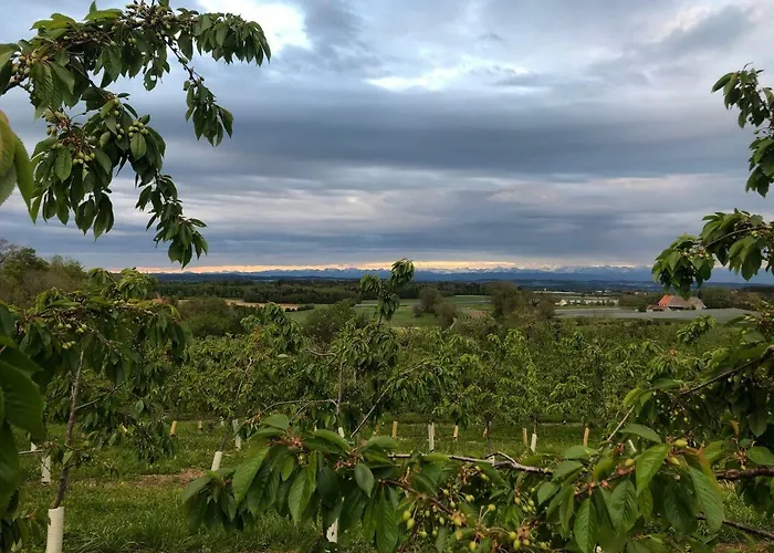 Bodensee Oberschwaben Dom wakacyjny *